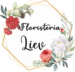 liev-logo